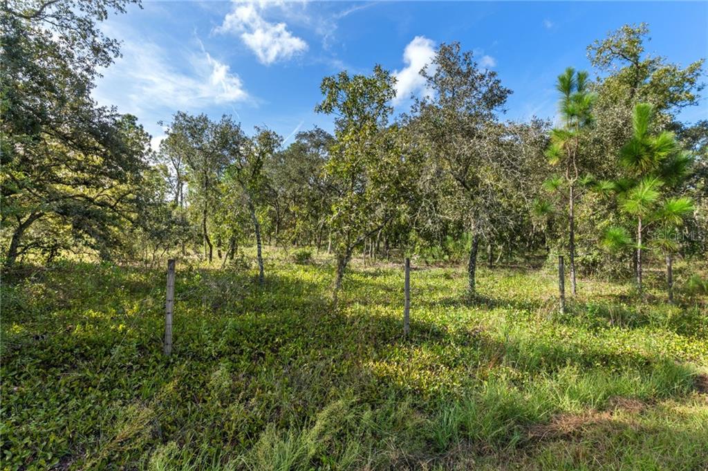 4274 W Field STREET, HOMOSASSA, FL — photo 3 of 19
