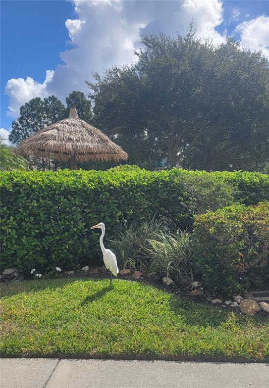 2511 NEWBERN DRIVE, CLEARWATER, FL — photo 4 of 61