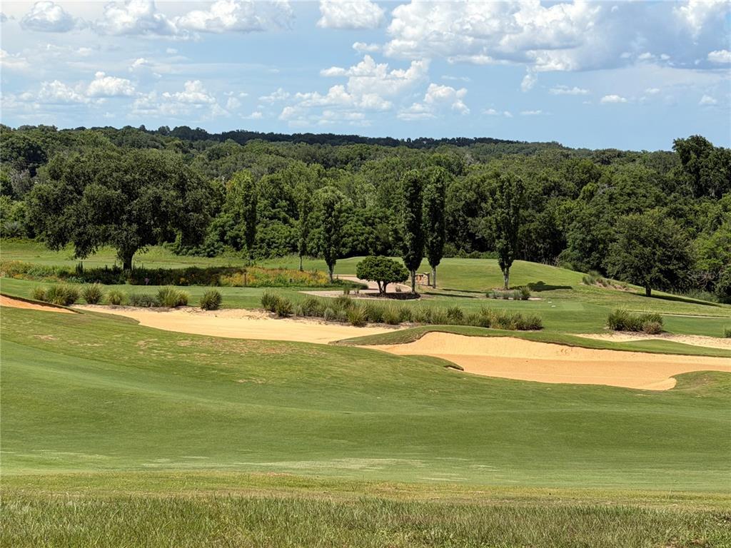 A view of a golf course featuring sand bunkers, manicured grass, and a line of trees — 15831 VETTA DRIVE, MONTVERDE, FL