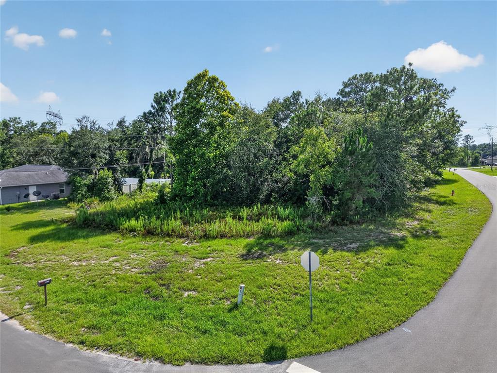 An elevated view of a vacant, grassy corner lot with dense trees and vegetation — 0000 SW 155TH STREET ROAD, OCALA, FL
