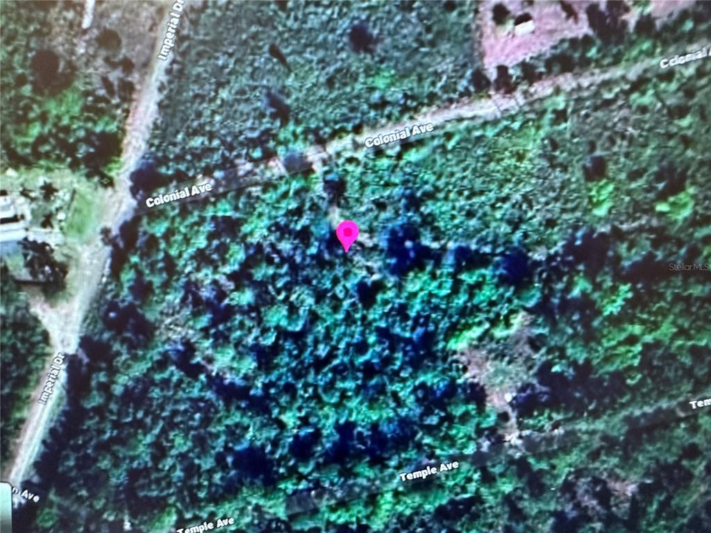 This is an aerial map showing a wooded lot with a pink location marker — 225 COLONIAL AVENUE, CRESCENT CITY, FL