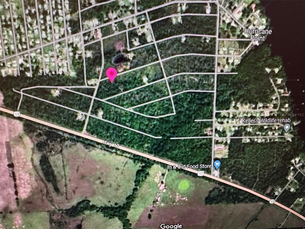 This is a satellite map showing a pink location pin on a wooded residential lot — 225 COLONIAL AVENUE, CRESCENT CITY, FL