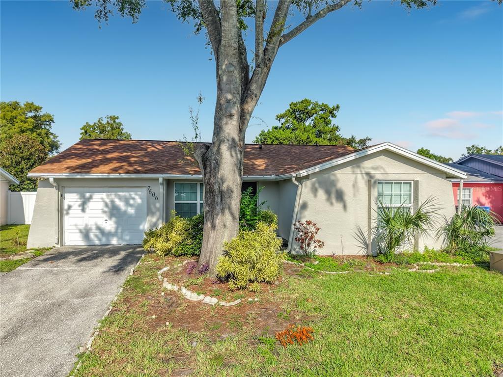 A single-story house with a tan exterior, a brown shingled roof, and a large front tree — 7606 WOODLAND OAKS COURT, TAMPA, FL