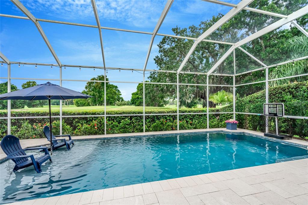 16214 MUIRFIELD DRIVE, ODESSA, FL — photo 2 of 30