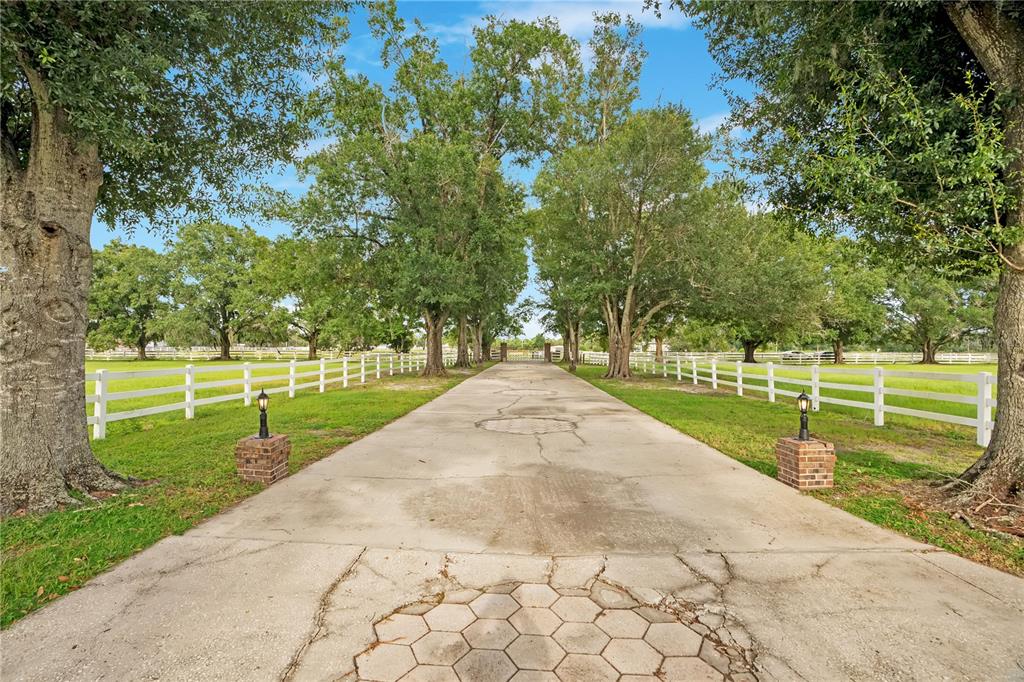 A long concrete driveway leads through a tree-lined path with white fences on both sides — 4410 ALBRITTON ROAD, ST CLOUD, FL