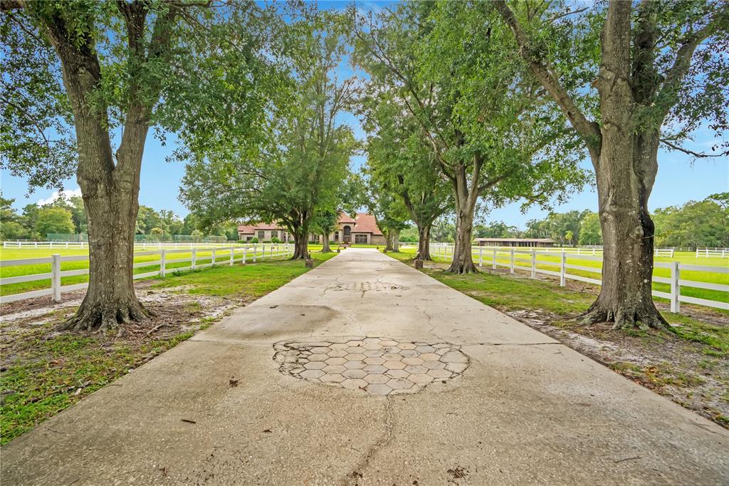A long concrete driveway leads toward a house framed by large trees and white fencing — 4410 ALBRITTON ROAD, ST CLOUD, FL