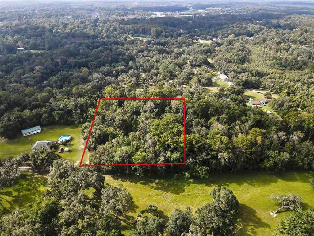 An aerial view shows a rectangular wooded lot outlined in red next to a house — 0 PALMER LANE, SPRING HILL, FL