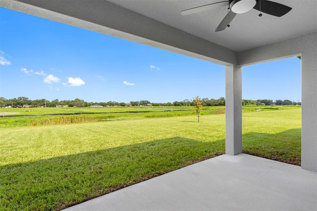 A covered concrete patio overlooks a large, grassy backyard with a distant tree line — 13501 WALDEN SHEFFIELD ROAD, DOVER, FL
