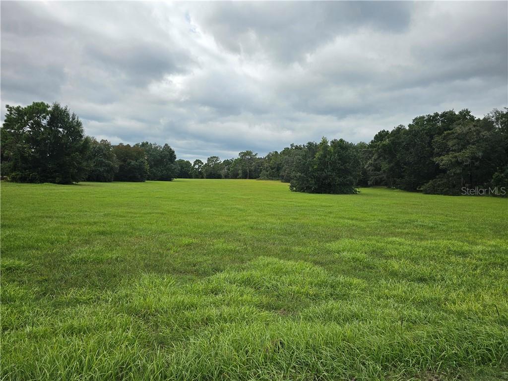2956 N Anthony AVENUE, HERNANDO, FL — photo 2 of 3