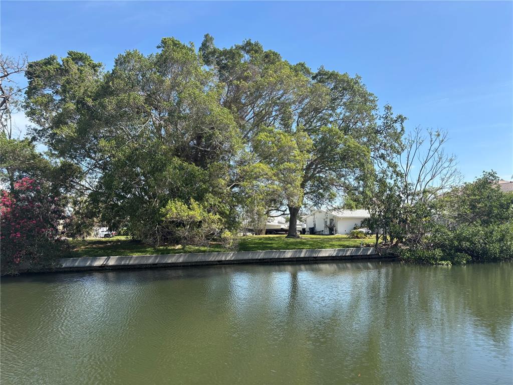 4417 DOLPHIN LANE