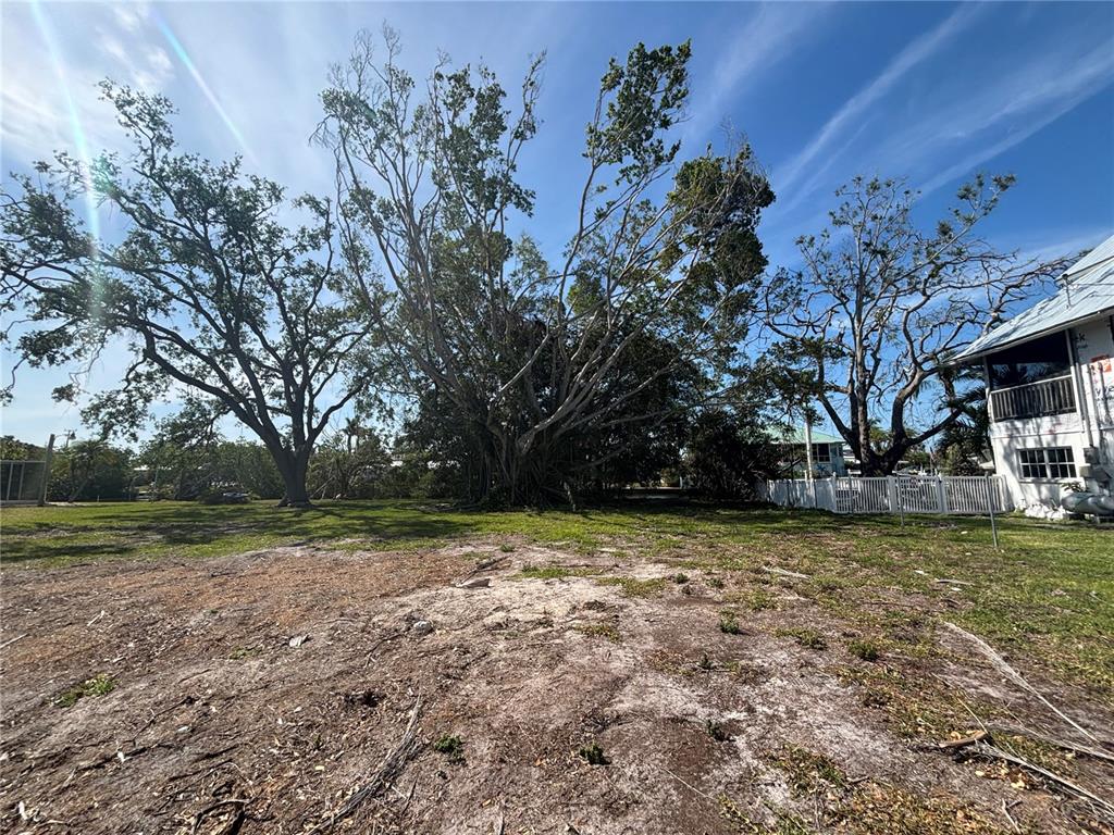 A large, mature banyan tree stands in the center of a grassy, partially cleared lot — 4417 DOLPHIN LANE, PALMETTO, FL