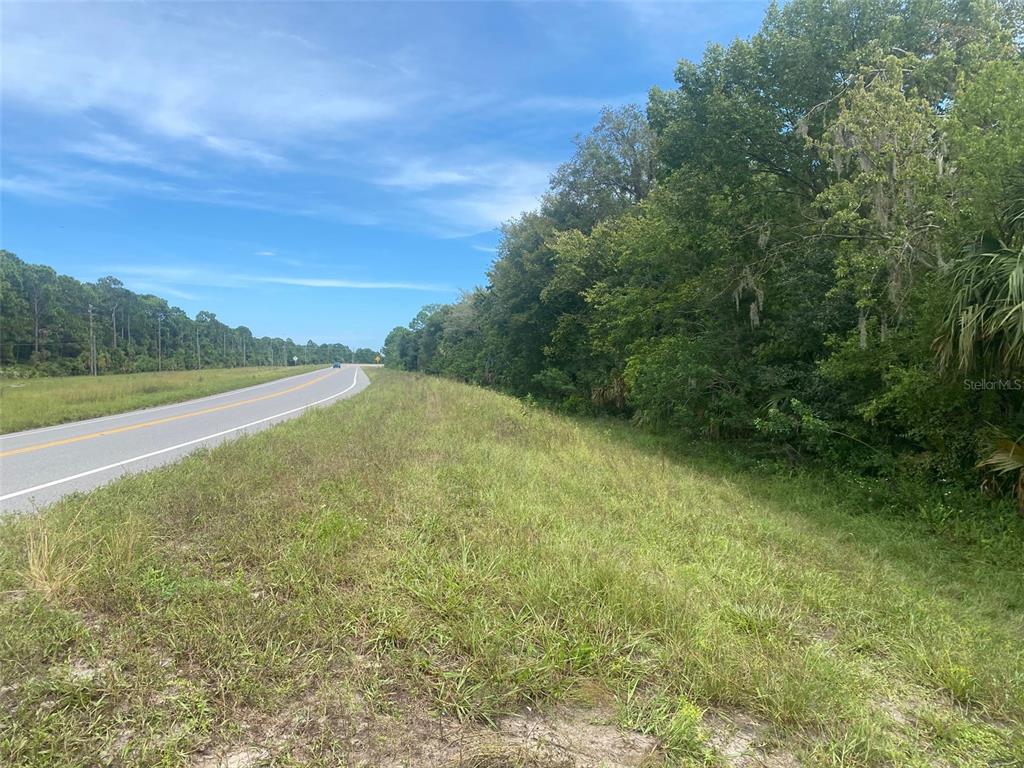 A paved road runs alongside a grassy field bordered by a dense forest of trees — GRISSOM PKWY, COCOA, FL