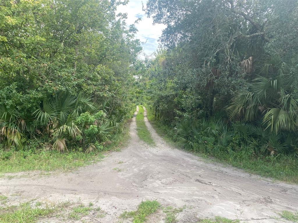 A dirt path leads into a dense, wooded area with lush green vegetation and palm trees — GRISSOM PKWY, COCOA, FL