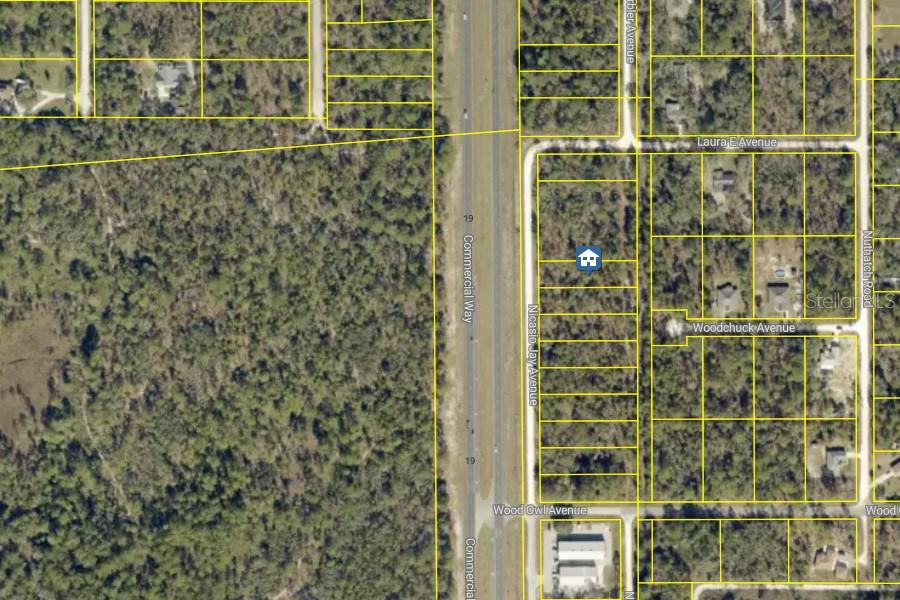 LOT 5 NICASIO JAY AVENUE, WEEKI WACHEE, FL — photo 2 of 4