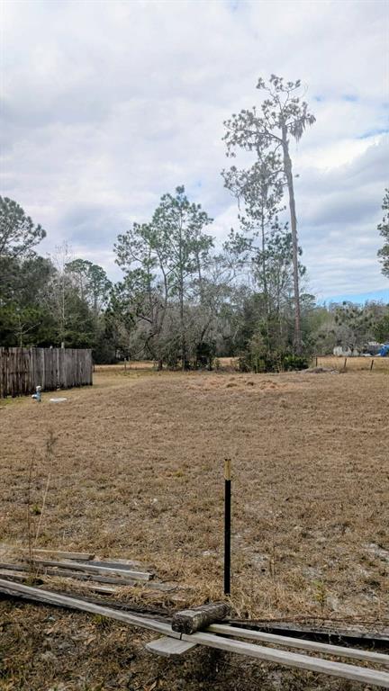 A vacant, grassy lot features a wooden fence, scattered debris, and several tall pine trees — 6905 PEARSON LANE, WESLEY CHAPEL, FL