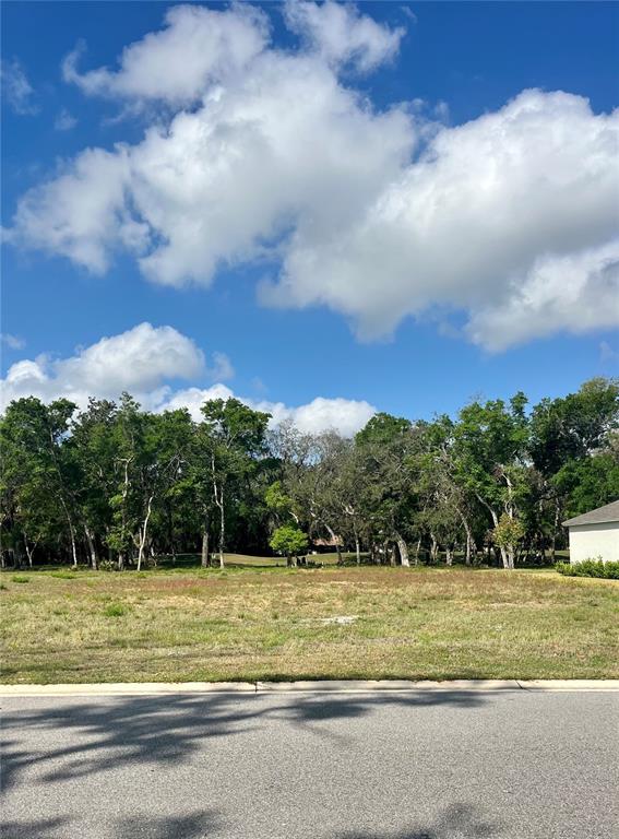A vacant, grassy residential lot is bordered by a line of mature trees — 3138 SILVERMINES AVENUE, ORMOND BEACH, FL