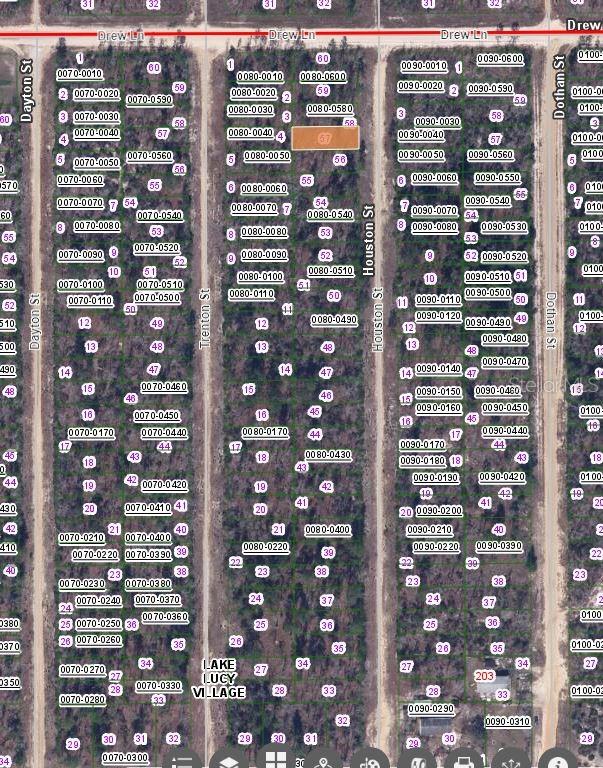 This is a map showing a grid of land parcels in a wooded area — 00 HOUSTON STREET, INTERLACHEN, FL