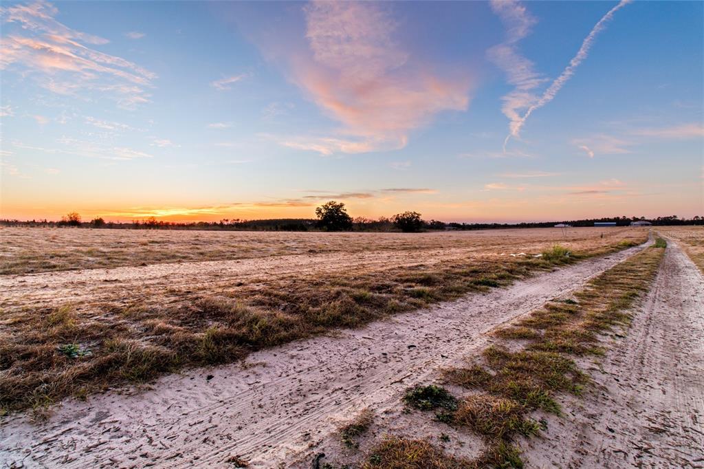 A dirt path leads through a vast, grassy field under a sunset sky — 4138 ROYAL SKY (LOT 10) COURT, BROOKSVILLE, FL