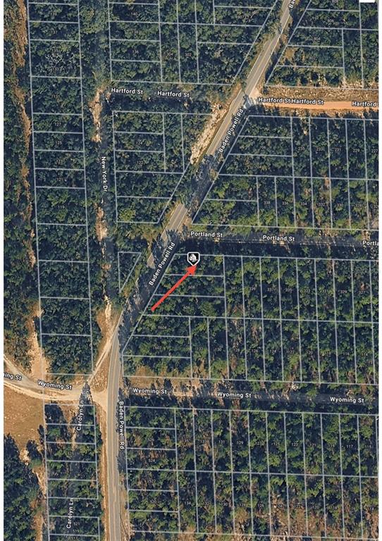 An aerial map view shows a wooded residential lot marked with a red arrow — BADEN POWELL ROAD, HAWTHORNE, FL