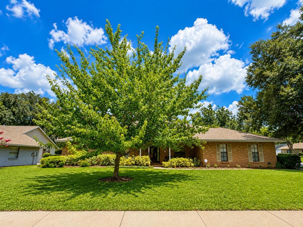 A single-story brick house with a large front tree and a green lawn — 411 SUMMIT CHASE DRIVE, VALRICO, FL