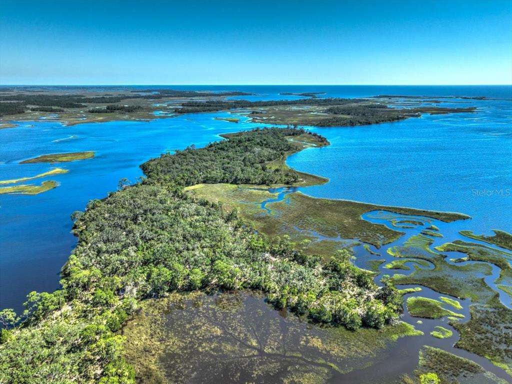 An aerial view of a forested island surrounded by coastal marshlands and open water — 00000 CLARK ISLAND, CEDAR KEY, FL