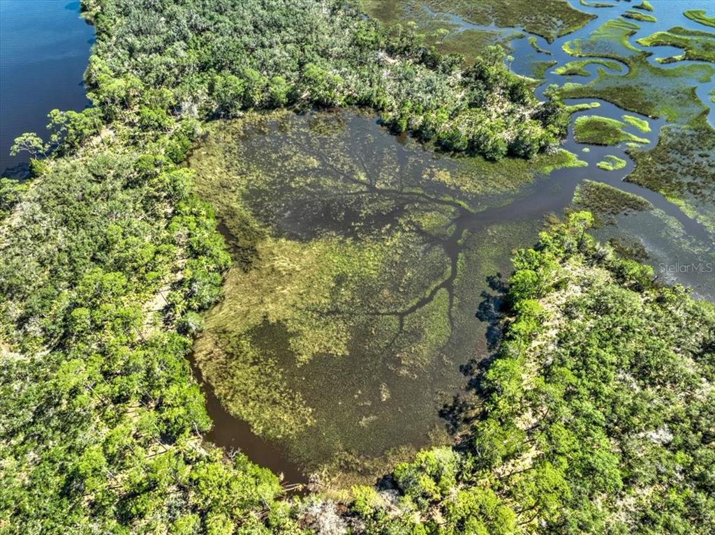An aerial view shows a marshy pond surrounded by dense green forest and wetlands — 00000 CLARK ISLAND, CEDAR KEY, FL