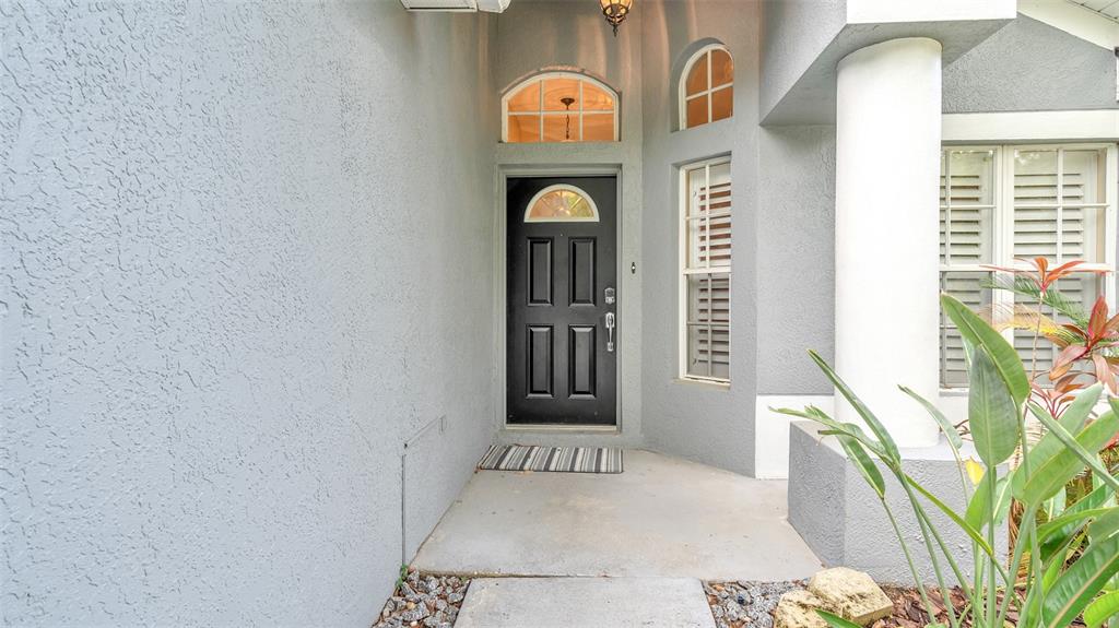 9918 HARTWELL BRIDGE CIRCLE, TAMPA, FL — photo 3 of 30