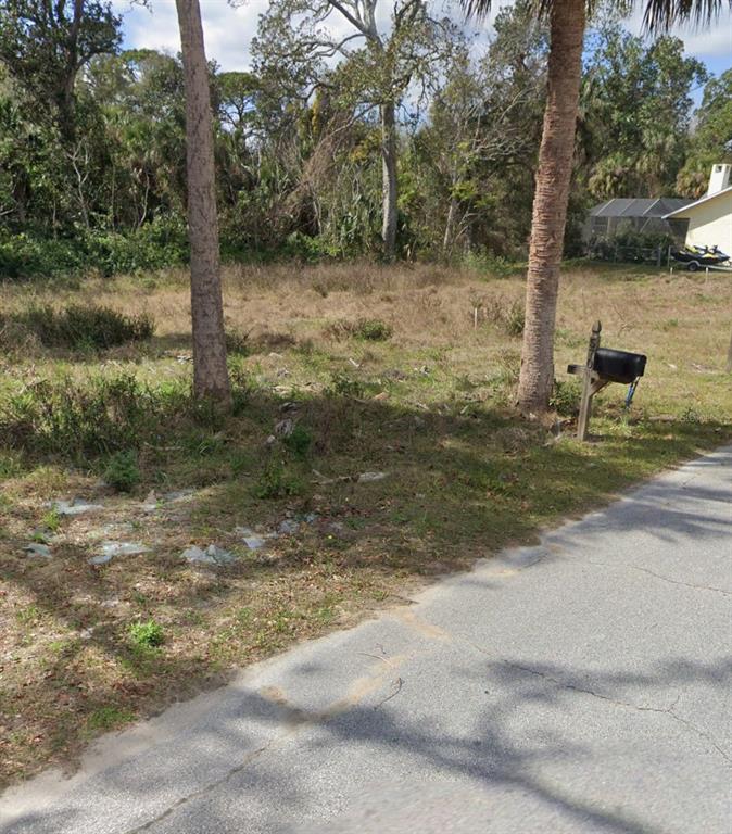 A vacant, grassy residential lot features two palm trees and a mailbox near a paved road — 560 FRED GAMBLE WAY, ORMOND BEACH, FL