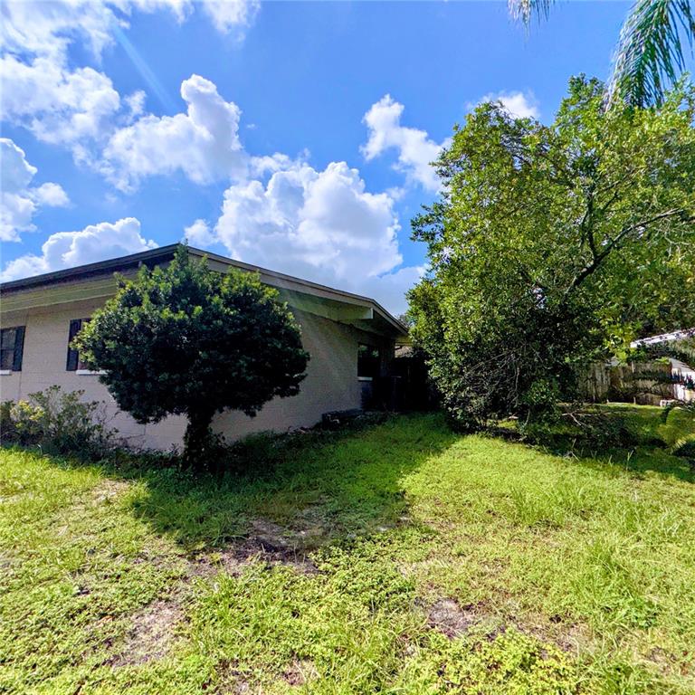 A side view of a single-story house with a lawn and trees under a blue sky — 105 DRUID HILLS ROAD, TEMPLE TERRACE, FL