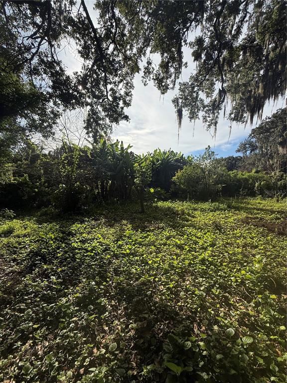 WILLOW AVENUE, SANFORD, FL — photo 2 of 8