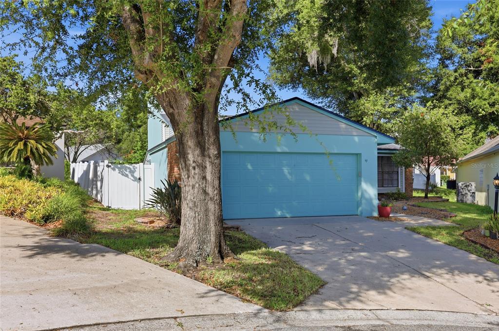 A light blue house with a two-car garage and a large tree in the front yard — 17 HIBISCUS COURT, EUSTIS, FL