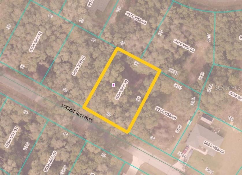 This is an aerial map showing a highlighted rectangular plot of land along a road — LOCUST RUN PASS, OCALA, FL