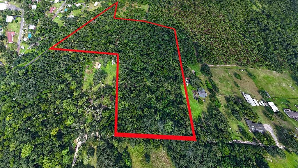 An aerial view shows a wooded plot of land outlined in red — 0 LUCILLES SHADY LANE, NOBLETON, FL