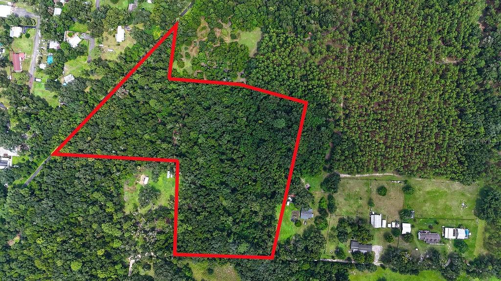 An aerial view shows a wooded plot of land outlined in red — 0 LUCILLES SHADY LANE, NOBLETON, FL