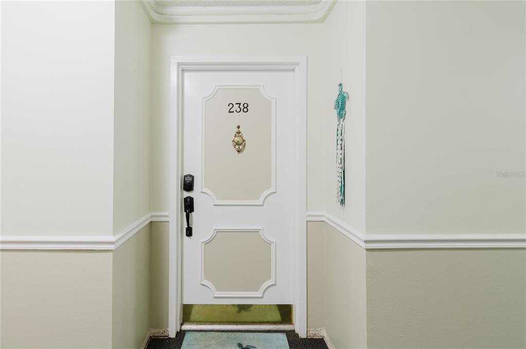 A white door with the number 238 and a brass knocker in a hallway — 632 EDGEWATER DRIVE UNIT 238, DUNEDIN, FL
