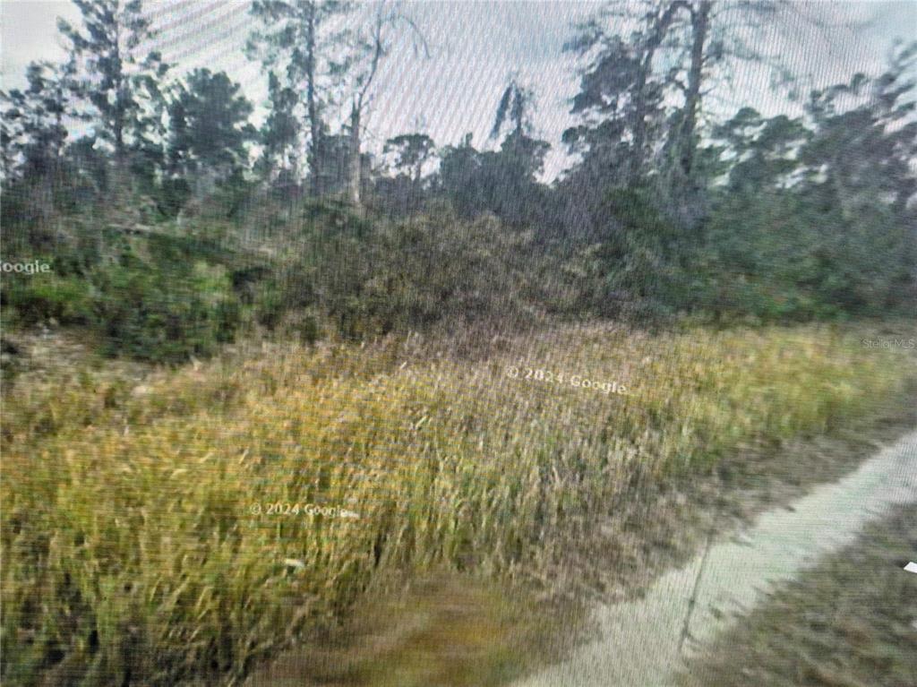 413 WAYSIDE AVENUE, SEBRING, FL — photo 2 of 5