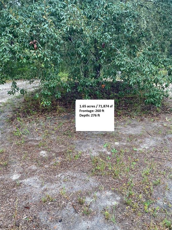 TBD SW 173 PLACE, OCALA, FL — photo 5 of 7