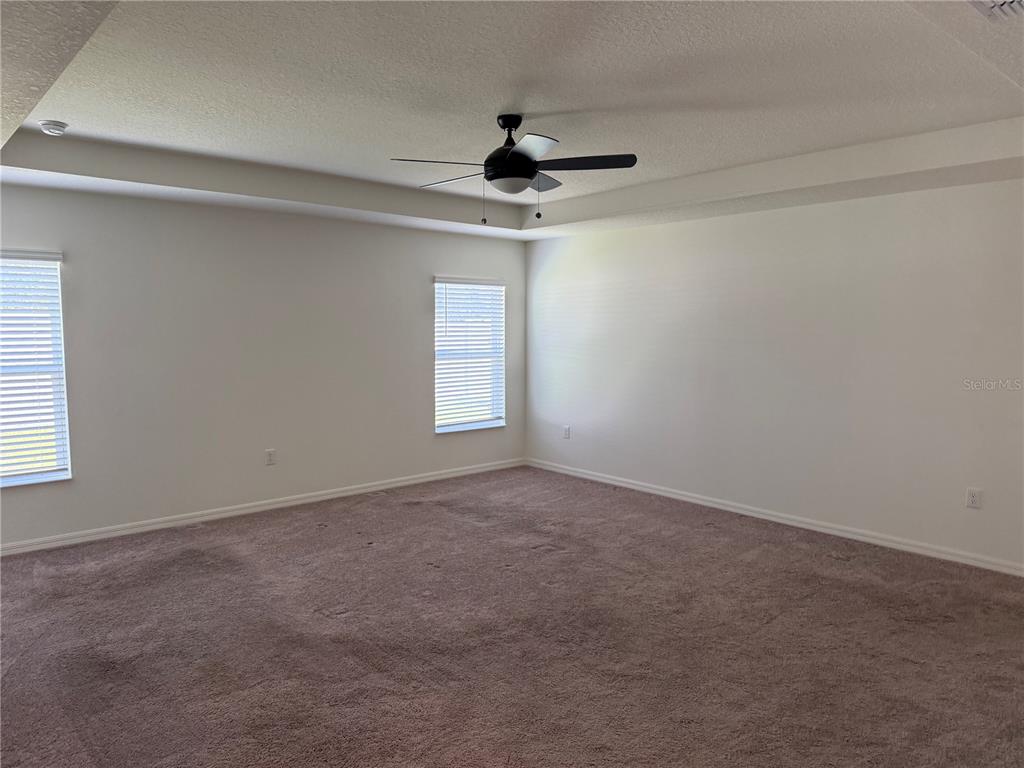 A spacious bedroom features beige carpet, white walls, a tray ceiling, and a ceiling fan — 13085 THATCH PALM WAY, ORLANDO, FL