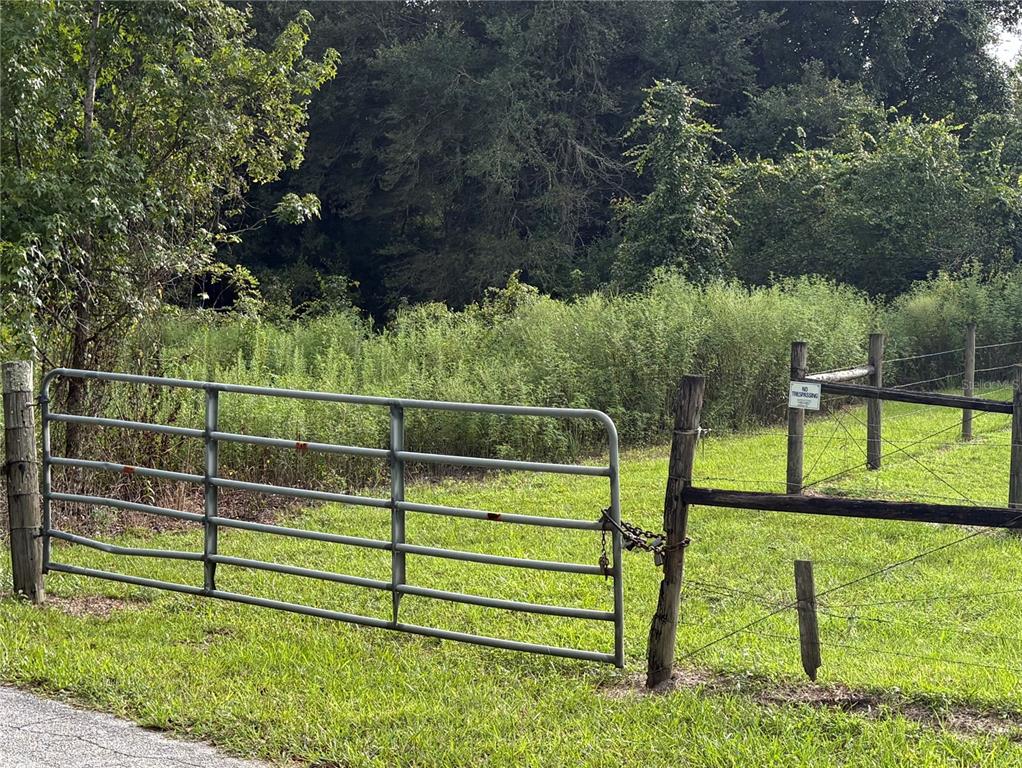 HWY 50 & CR 751, WEBSTER, FL — photo 2 of 22