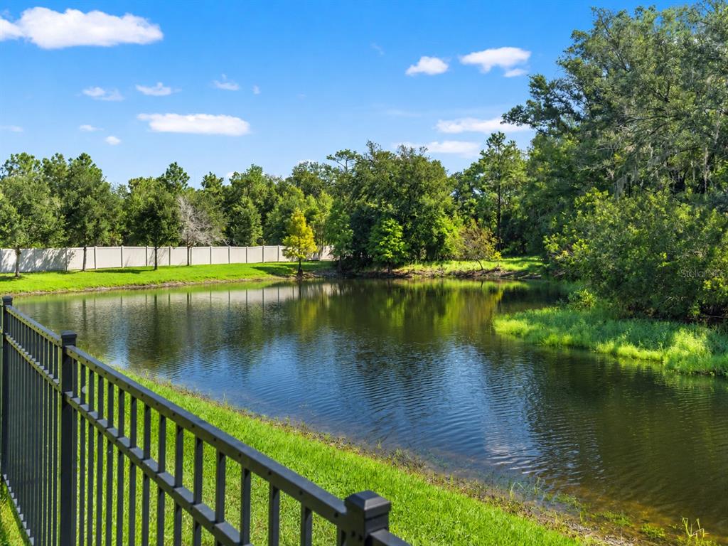 16361 HYDE MANOR DRIVE, TAMPA, FL — photo 3 of 30