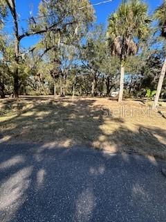 A vacant, grassy lot with scattered trees and palm trees is viewed from the street — 1204 DAVIES ROAD, BRANDON, FL