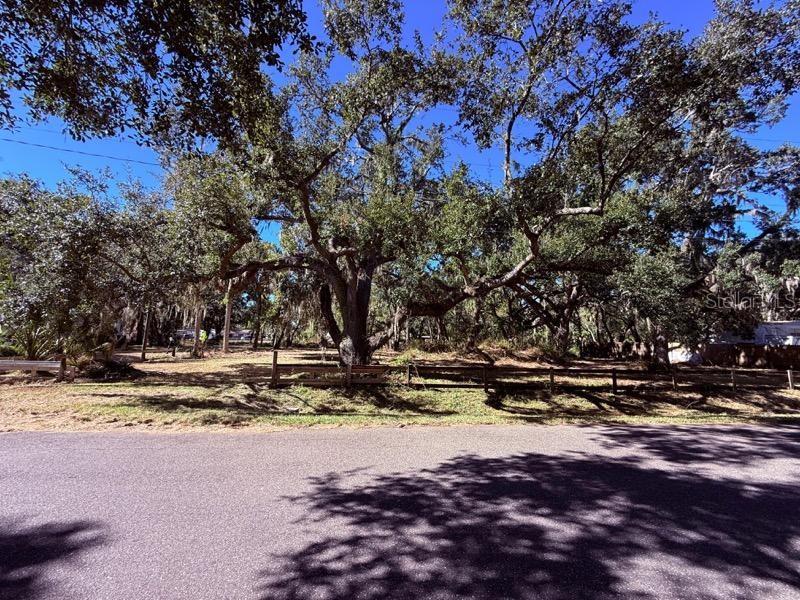 A large, mature oak tree stands on a grassy, fenced-in vacant lot — 1204 DAVIES ROAD, BRANDON, FL