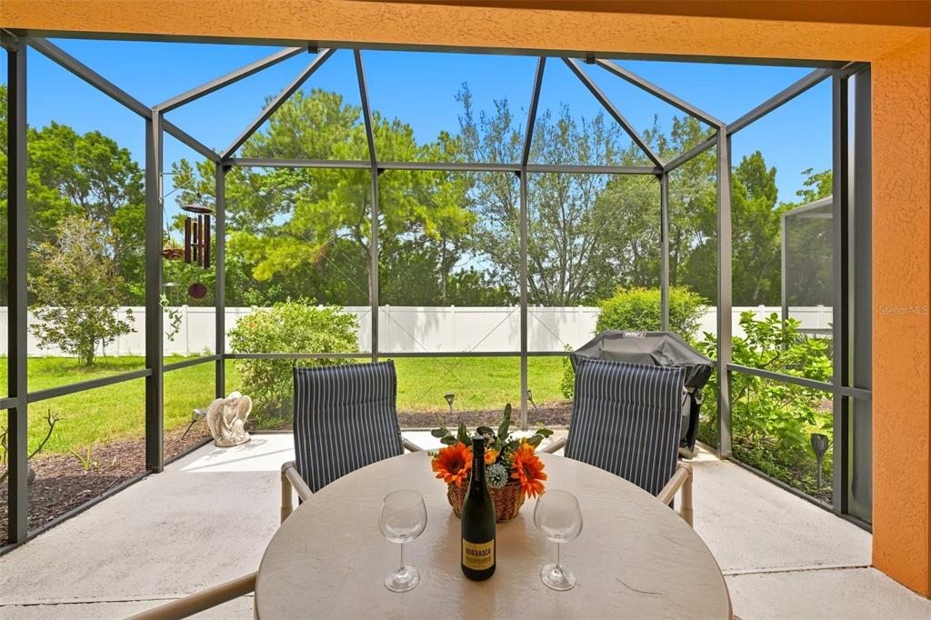 A screened-in patio features a small dining table with two chairs overlooking a grassy backyard — 229 SILVER FALLS DRIVE, APOLLO BEACH, FL