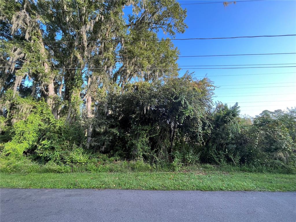 264 TOMS ROAD