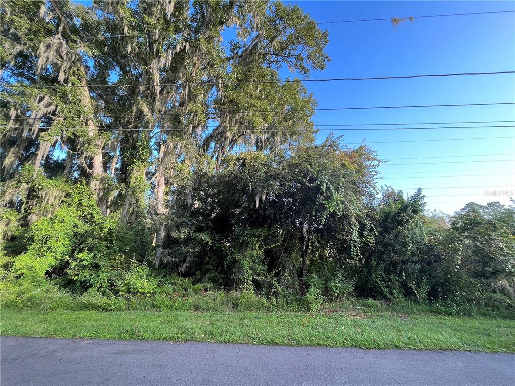 A dense, overgrown wooded lot sits behind a paved road under a clear blue sky — 264 TOMS ROAD, DEBARY, FL