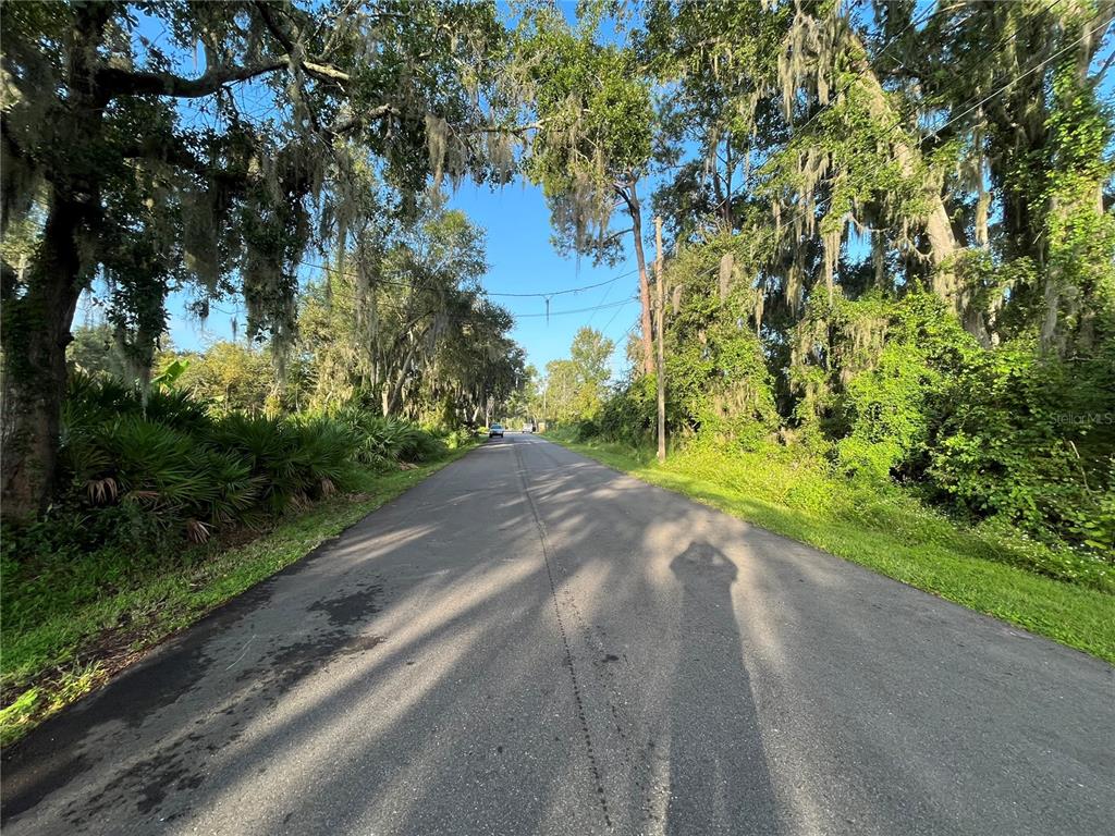 A paved road stretches into the distance, lined with mature trees draped in Spanish moss — 264 TOMS ROAD, DEBARY, FL