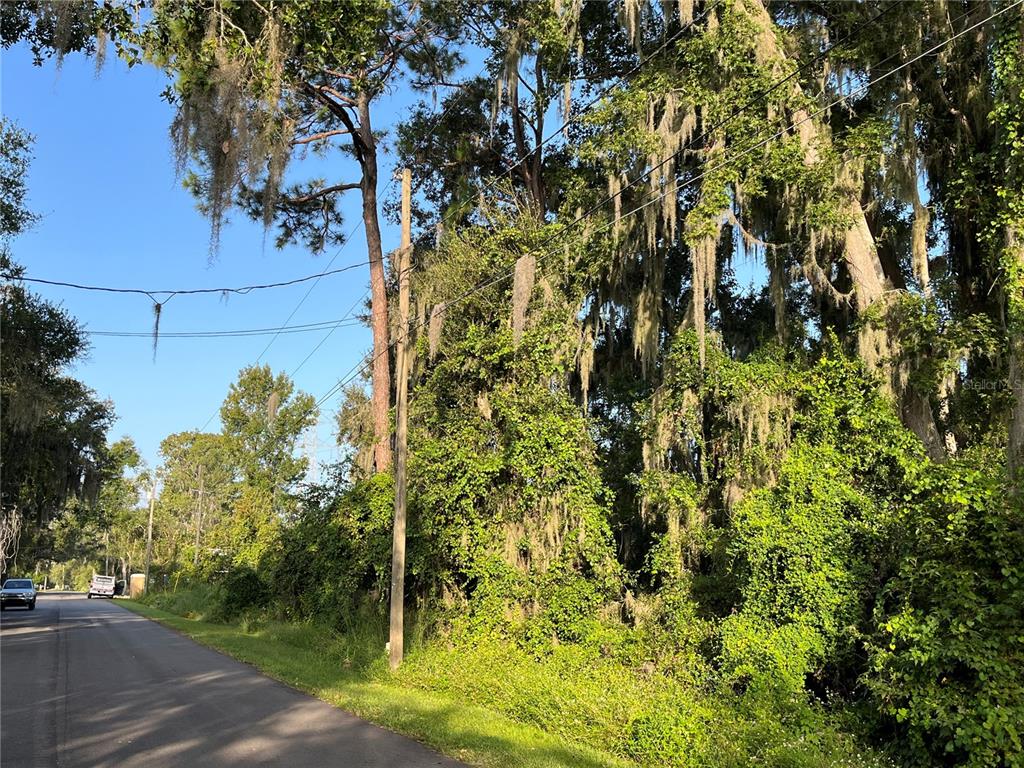 A paved road runs alongside a wooded area with tall trees draped in Spanish moss — 264 TOMS ROAD, DEBARY, FL