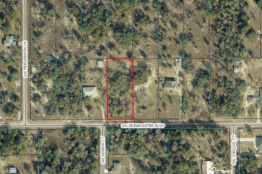 This aerial map shows a rectangular vacant lot outlined in red along a paved road — 00 SW BREAKWATER BOULEVARD, DUNNELLON, FL