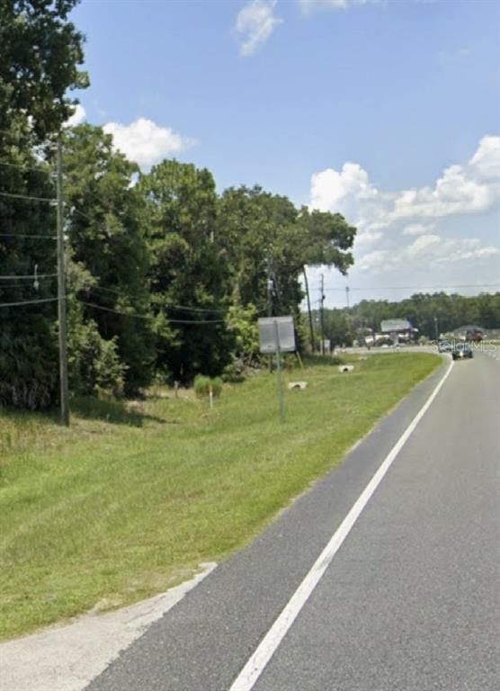 A view of a grassy roadside shoulder next to a line of trees and power lines — US HWY 301, BELLEVIEW, FL