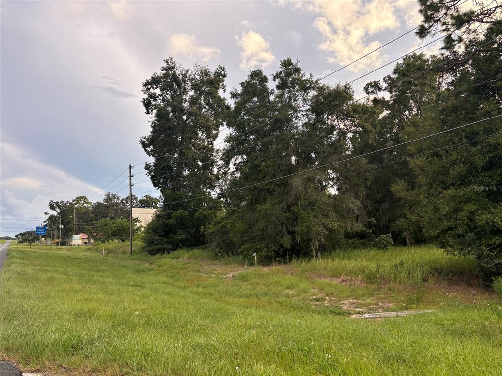 A grassy lot with trees and utility lines borders a road under a cloudy sky — US HWY 301, BELLEVIEW, FL